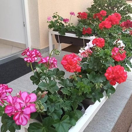 Apartment Marelja - Private Parking And Balcony ザダル エクステリア 写真
