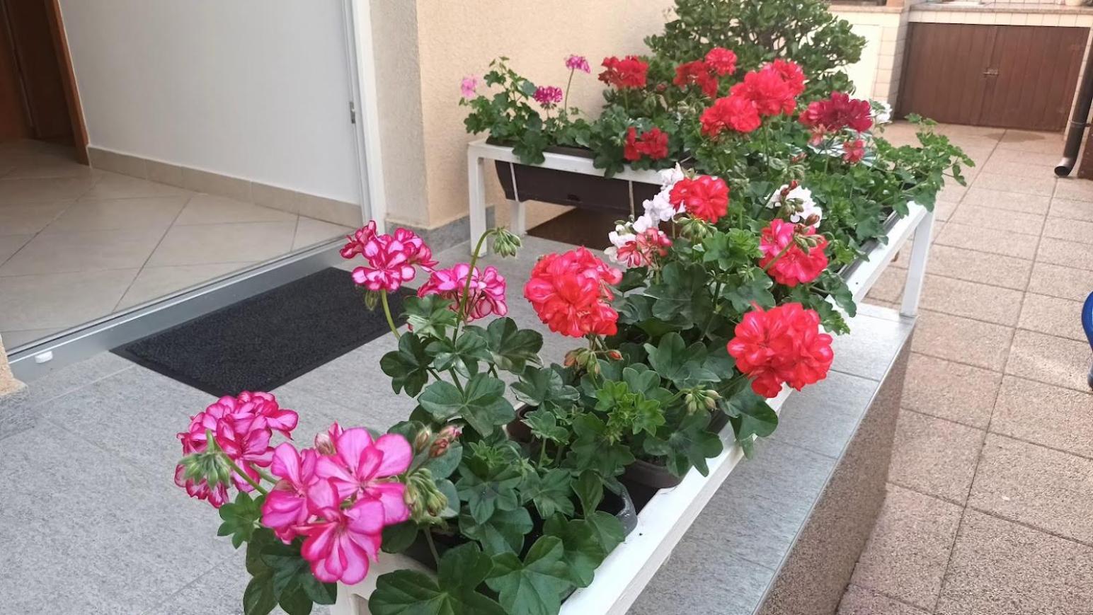 Apartment Marelja - Private Parking And Balcony ザダル エクステリア 写真